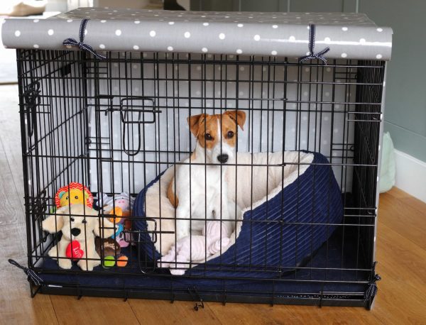 a sad dog inside a cage