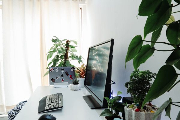 a home office desk decorated with indoor plants