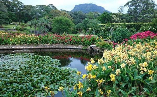 Wollongong Botanical Gardens
