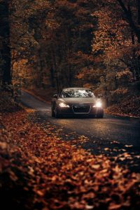 car driving on a road through a forest in fall 