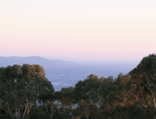 How Self Storage Can Simplify Your Move to Mount Pleasant